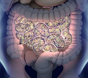 Uloga crijevnih bakterija u očuvanju zdravlja