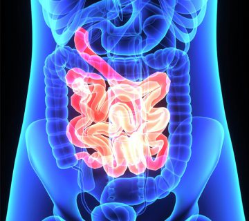 Kako vodik i metan u izdahnutom zraku daju uvid u stanje probave