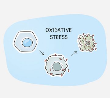 Oksidativni stres