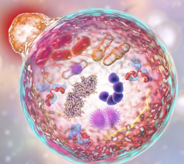 Stanični metabolizam
