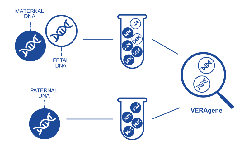 methodology-veragene