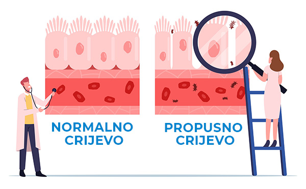 Sindrom propusnog crijeva Sindrom propusnog crijeva